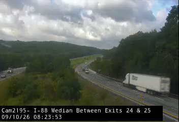 I-88 Median - Between Exits 24 & 25 at Birchwood Dr Princetown