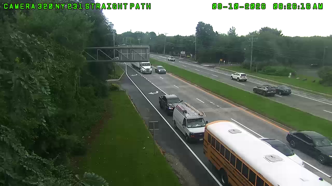 NY231 at Straight Path